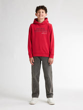 Afbeelding in Gallery-weergave laden, Hoodie SWH302

