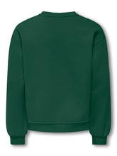 Afbeelding in Gallery-weergave laden, Sweater Victory Life
