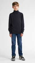Afbeelding in Gallery-weergave laden, Pullover Turtle KWC260
