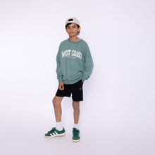 Afbeelding in Gallery-weergave laden, Shorts P54155
