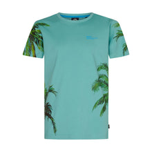 Afbeelding in Gallery-weergave laden, T-shirt Petrol TSR130
