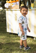 Afbeelding in Gallery-weergave laden, Polo Mark2
