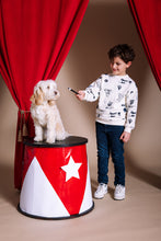 Afbeelding in Gallery-weergave laden, Sweater Hagar

