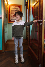 Afbeelding in Gallery-weergave laden, Sweater Harden
