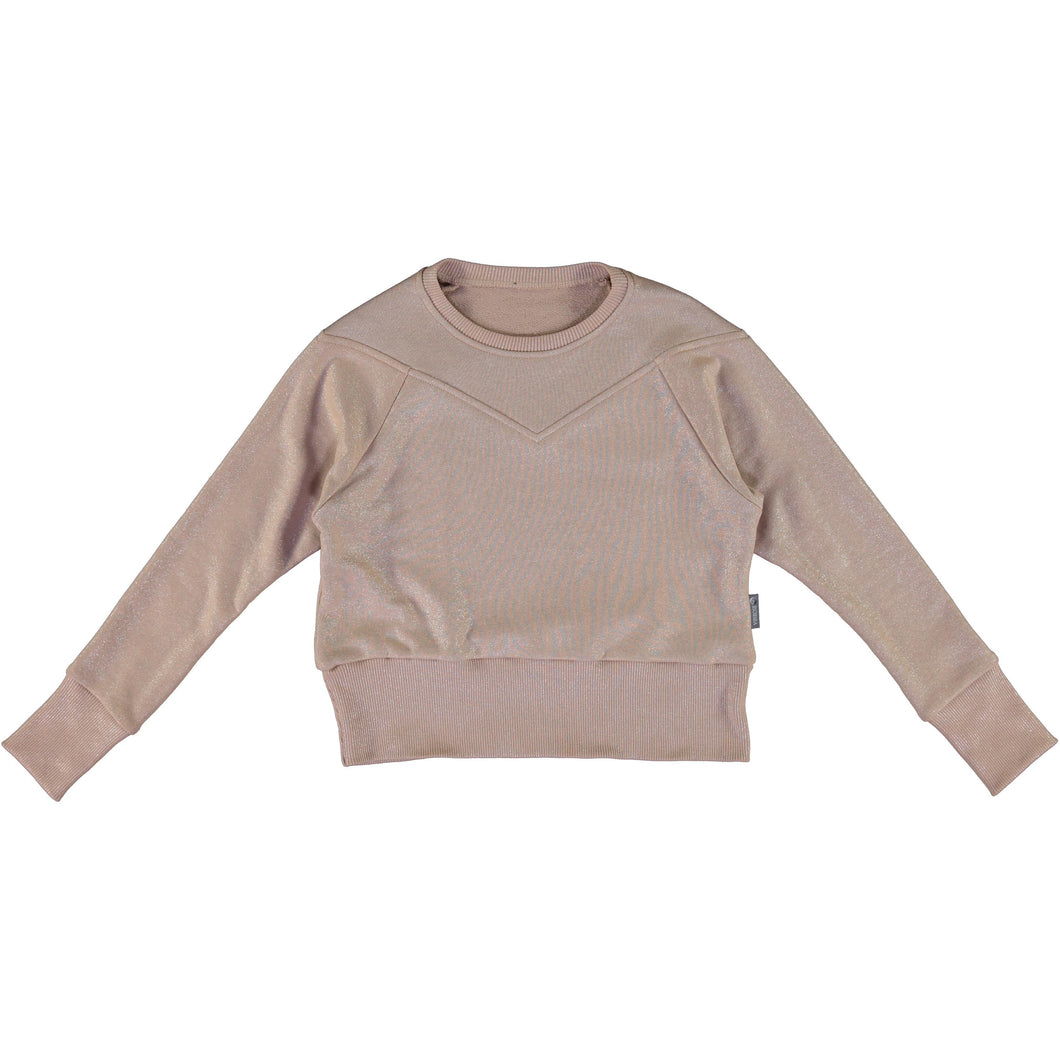 Sweater Vinrose M033